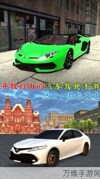 TRD 驾驶模拟手机版，畅享极致驾驶乐趣