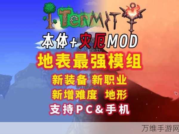 探秘泰拉瑞亚灾厄,黑渊石获取秘籍大公开