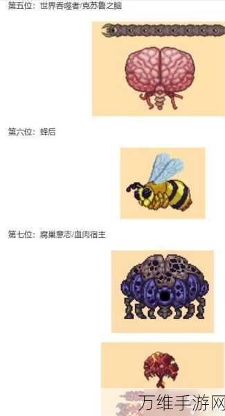 探秘泰拉瑞亚灾厄,黑渊石获取秘籍大公开