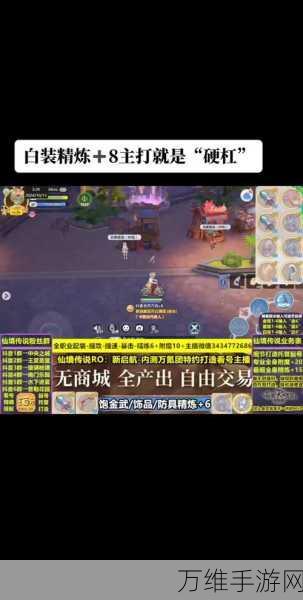 仙境传说 RO 新启航,零氪玩家必选的强力职业秘籍