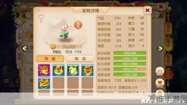 普陀山助战攻略大揭秘,梦幻西游手游顶尖搭配与实战战术深度剖析