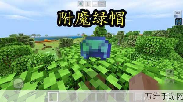 我的世界海龟壳获取攻略,探索海洋的珍稀宝藏