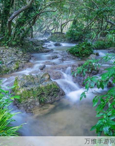 桃花洞口已是溪水潺潺是什么意思：桃花洞口溪水潺潺，春意盎然景色宜人