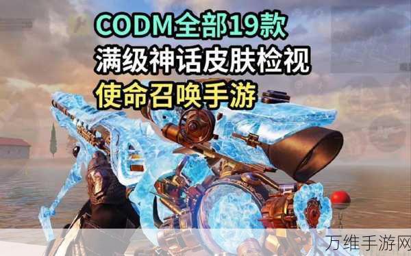 使命召唤手游弹药检视秘籍大公开