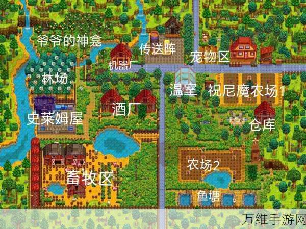 星露谷物语,解锁物品栏扩充秘籍,打造高效农场生活