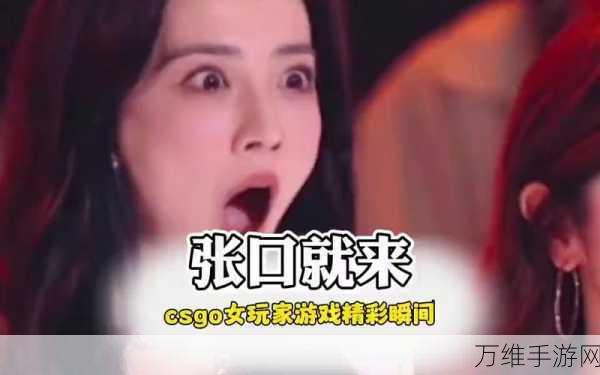 暴躁姐姐csgo:暴躁姐姐在CSGO中的精彩瞬间与搞笑时刻大揭秘