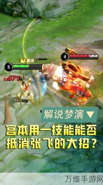 王者荣耀,宫本武藏技能深度剖析与实战攻略