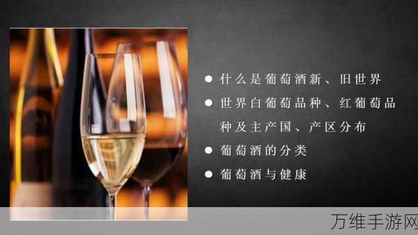 97精产国品一二三产区91:全面解析97精产国品一二三产业区的独特优势与发展潜力