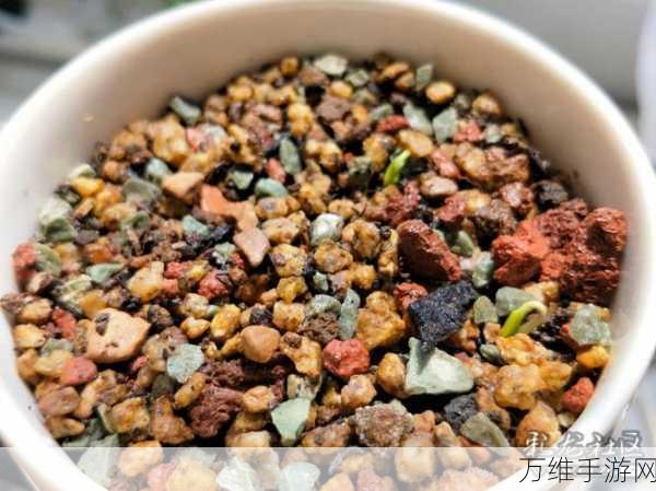 火爆社区草莓视频:探索火爆社区草莓视频,畅享无限精彩与乐趣!