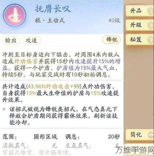射雕江湖,重剑与轻剑的深度对决,强度差异全解析
