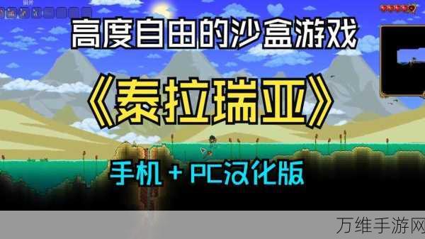 泰拉瑞亚中文版震撼上线,探索无限创意的沙盒冒险之旅