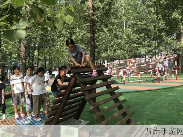 幸存小能手,高自由度战斗冒险,挑战极限生存智慧