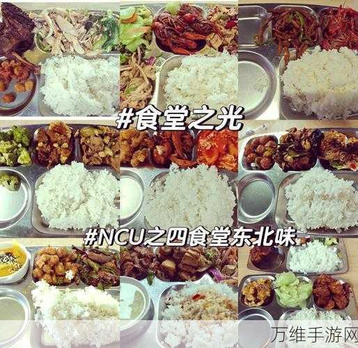 探秘怀念食堂故事国际服,清新画风与趣味经营的完美融合