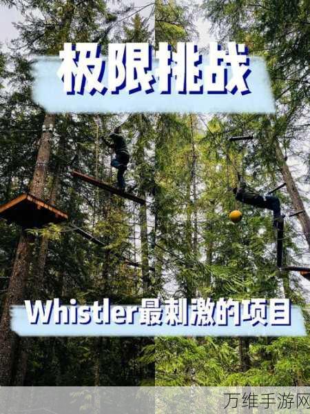 我行我兔火爆上线,休闲益智新体验,挑战你的智慧极限!