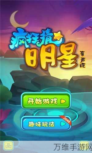 疯狂猜谜挑战,疯狂的声音休闲益智游戏全解析