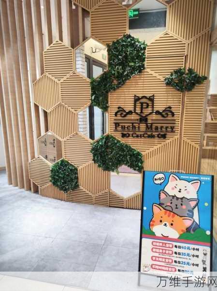 旅行猫猫最新版震撼发布,沉浸式模拟养成,打造专属萌宠乐园