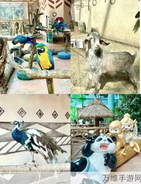 旅行猫猫最新版震撼发布,沉浸式模拟养成,打造专属萌宠乐园
