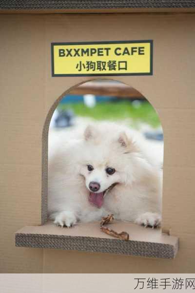 萌宠面包店,打造梦幻烘焙帝国,开启模拟经营新篇章