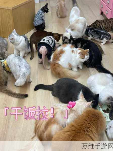猫猫狗狗冰淇淋工坊,免广告版温馨上线,创意模拟制作乐无穷