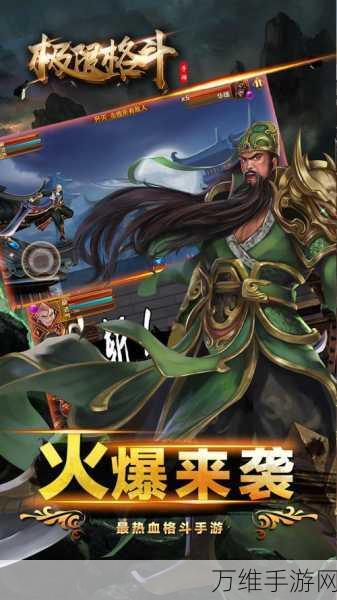 皇家决斗,热血动作格斗竞技,挑战你的战斗极限!