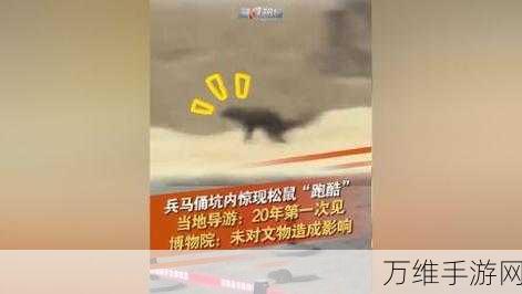 松鼠短跑,趣味休闲跑酷,挑战你的智慧与速度极限!