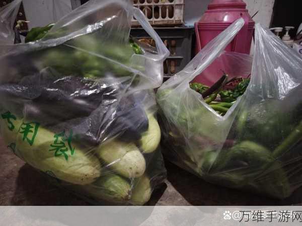 黄瓜茄子切切切,无广告益智新体验,挑战你的切割技巧!