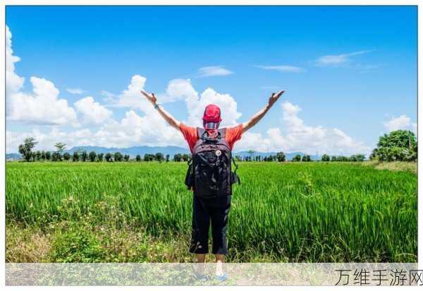 Basket Throw,趣味无限的敏捷冒险休闲之旅