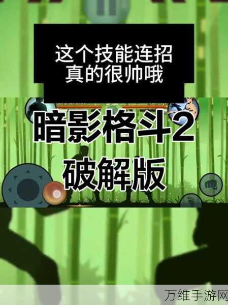 忍者暗影格斗,中文版下载开启,挑战极限格斗闯关之旅