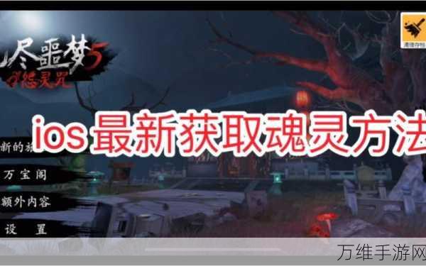 无尽噩梦5怨灵咒无限资源2.2.2免费下载_非常经典的恐怖系列续作手游
