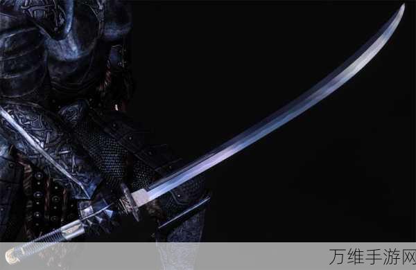 上古卷轴,刀锋战士手机版震撼来袭,动作冒险新体验!