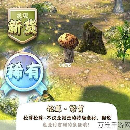 赶山夺笋,成为模拟经营高手,夺笋高手游戏深度解析