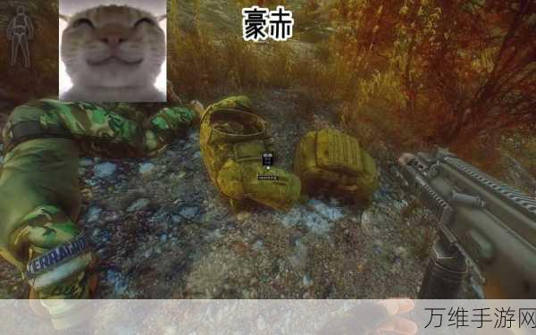 独家揭秘,鼠鼠模拟器免广告版上线,文字版逃离塔科夫手游新体验