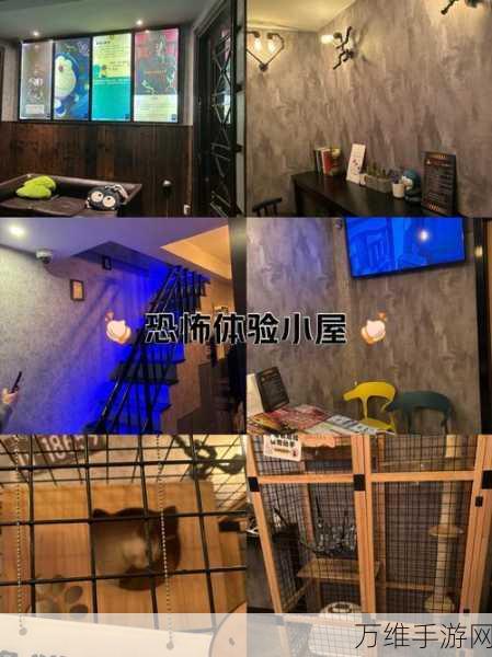 恐怖小屋,沉浸式冒险解谜逃脱游戏震撼来袭!