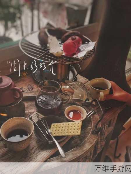 休闲新宠,我的休闲时光——深度解析这款趣味模拟经营养成游戏