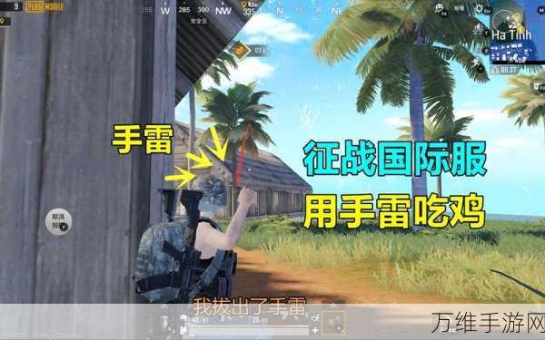 穿越战场,挑战吃鸡精英,全新模拟益智射击游戏深度解析
