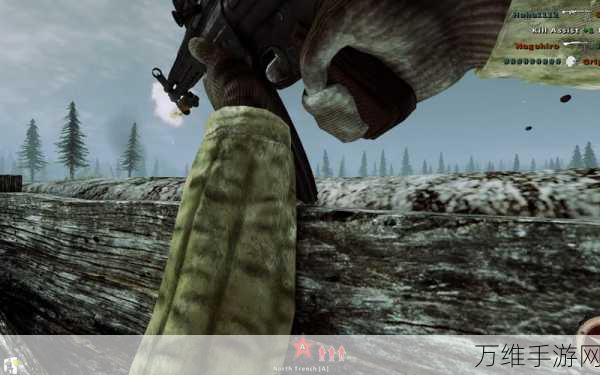 国度射击战争,惊心动魄的真人模拟 FPS 激战之旅