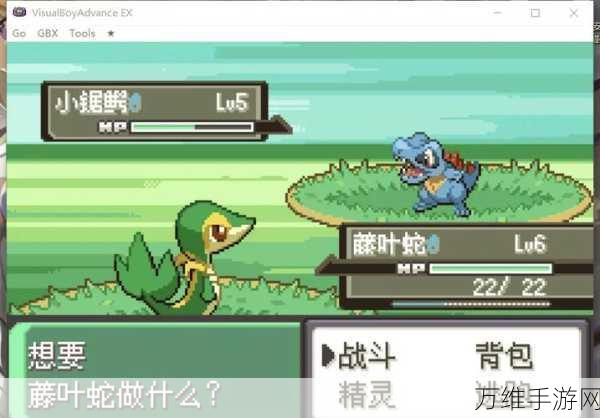 口袋妖怪漆黑的魅影 5.0ex,BP 破解版,畅享动作冒险之旅