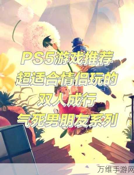 双人成行模拟器手机版,精彩双人互动的休闲之旅