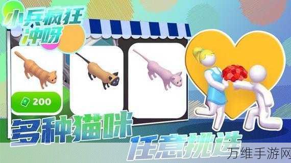 猫咪冲呀,智慧与速度并存的休闲益智游戏大揭秘