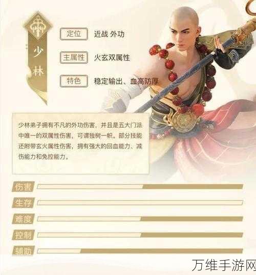 新功夫少林手游,震撼来袭的精致少林动作角色扮演之旅