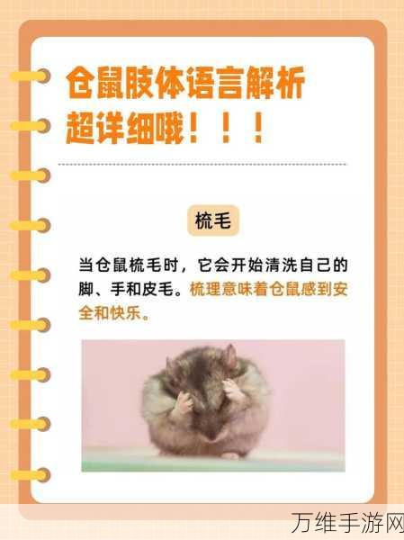 仓鼠萌趣来袭!鼠鼠百货物语模拟经营新体验全解析