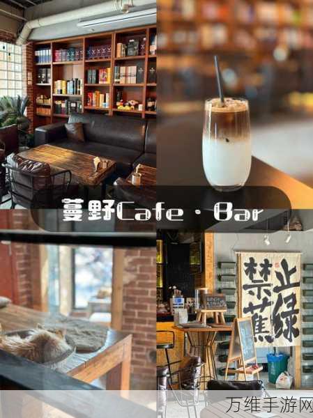 萌猫相伴 打造独特露营猫咖啡屋——模拟经营秘籍