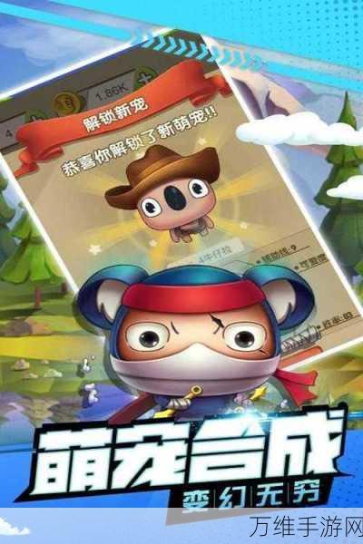 休闲益智新宠,我闯关又快又六游戏深度评测与下载指南