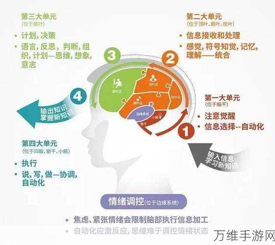 大脑测试 3 最新版,颠覆脑力的极限益智闯关之旅