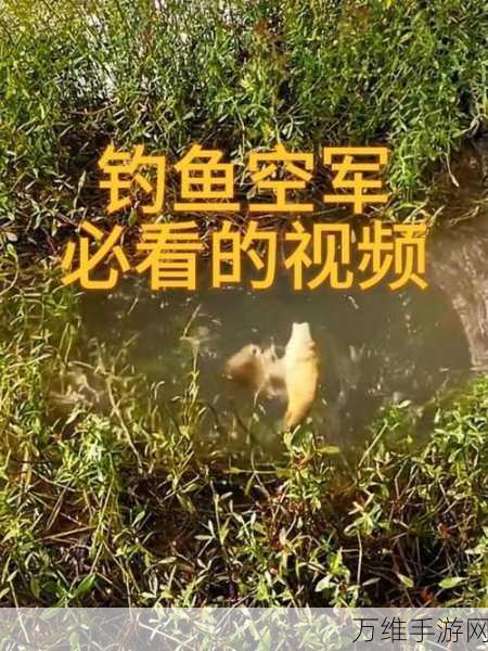 我钓鱼贼溜红包版,畅享休闲钓鱼的魅力之旅