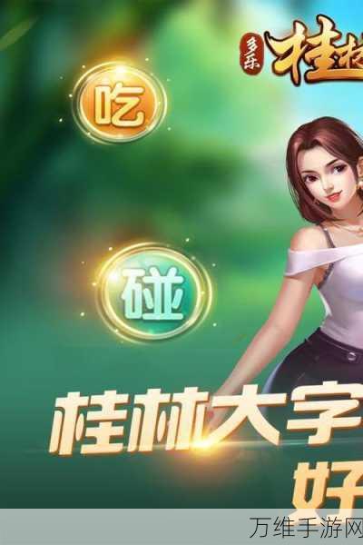 桂林字牌老K版焕新上线,深度解析与精彩赛事预告