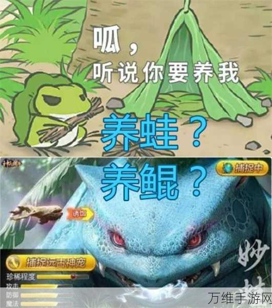 萌宠救援大行动,喂饱饥饿小猫休闲游戏火爆上线