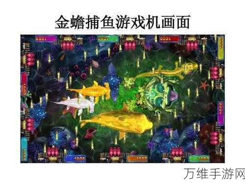 街机金蟾捕鱼正版,经典重现,捕鱼狂欢秘籍大公开