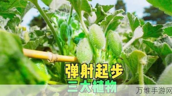 魔法弹射,精彩纷呈的休闲闯关新体验,挑战你的弹射技巧!