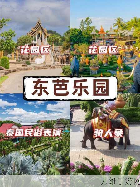 休闲解压新选择,建筑抛球大作战下载指南及玩法揭秘